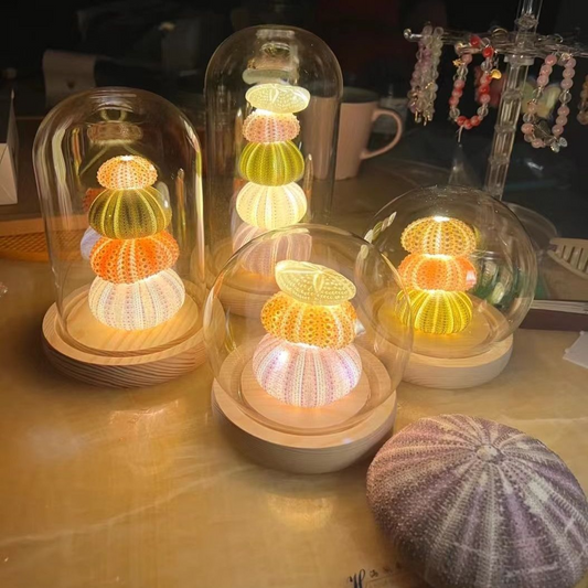 DIY Handmade Diy Luminous Sea Urchin Small Night Lamp